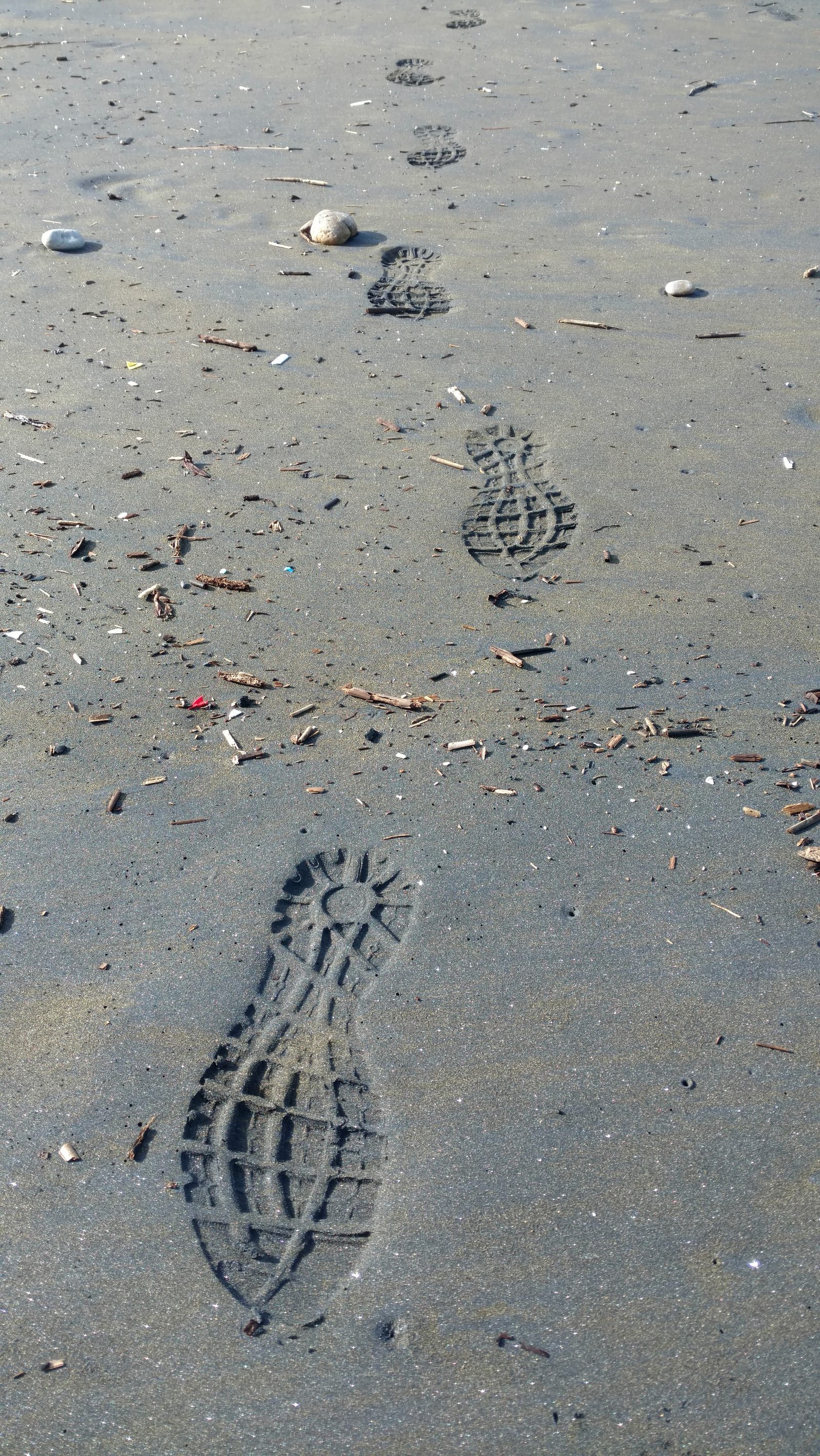 Footprints in the sand