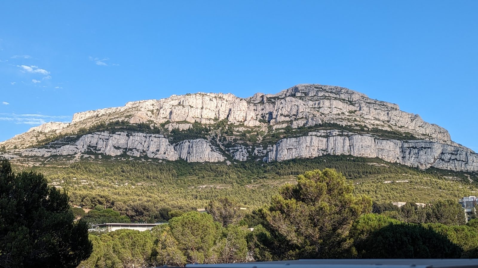 Limestone cliffs rising above pine forest near Marseille