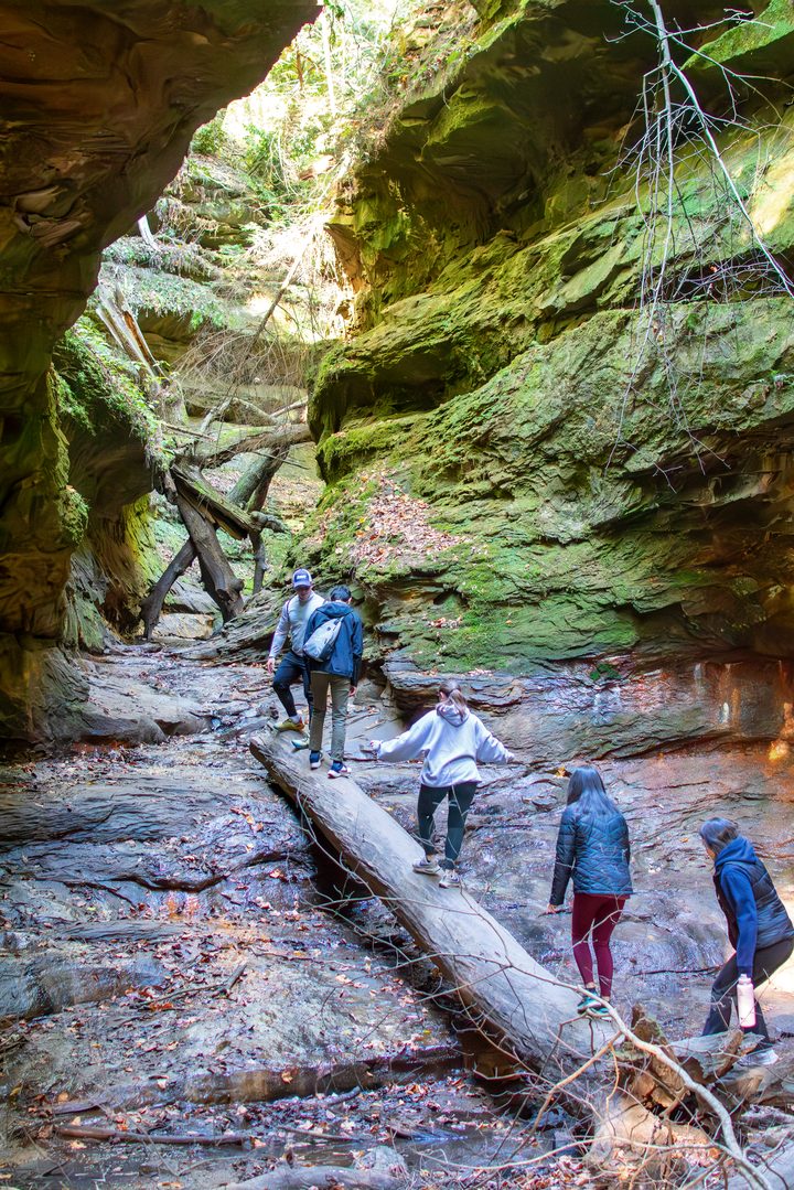 Low-Nam Lab members crossing a fallen log in a mossy sandstone ravine at Turkey Run State Park