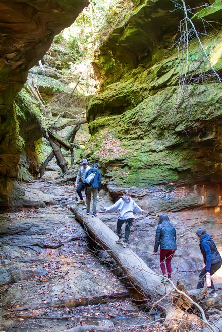 Low-Nam Lab members crossing a fallen log in a mossy sandstone ravine at Turkey Run State Park